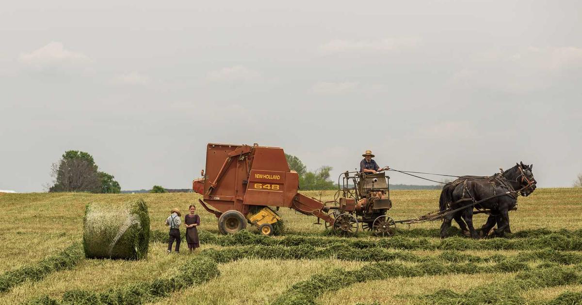 What is Abbot? - Company Overview & Details