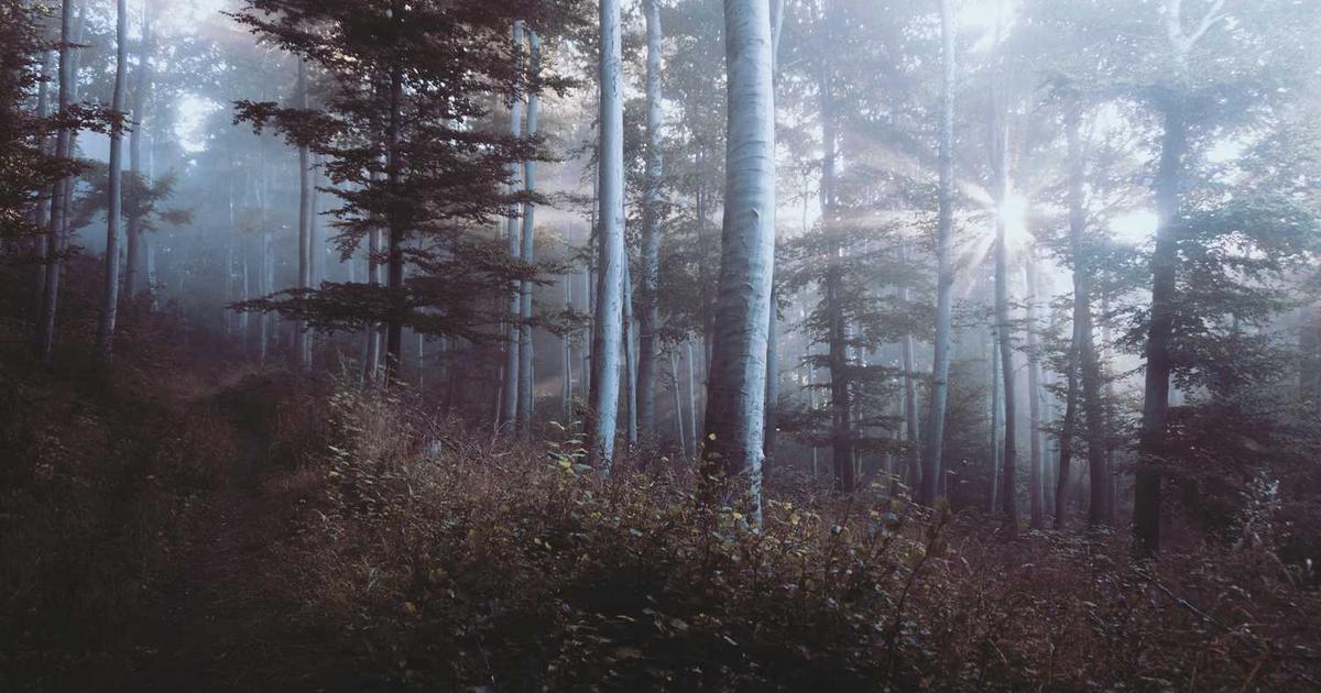 What is Akiflow? - Company Overview & Details