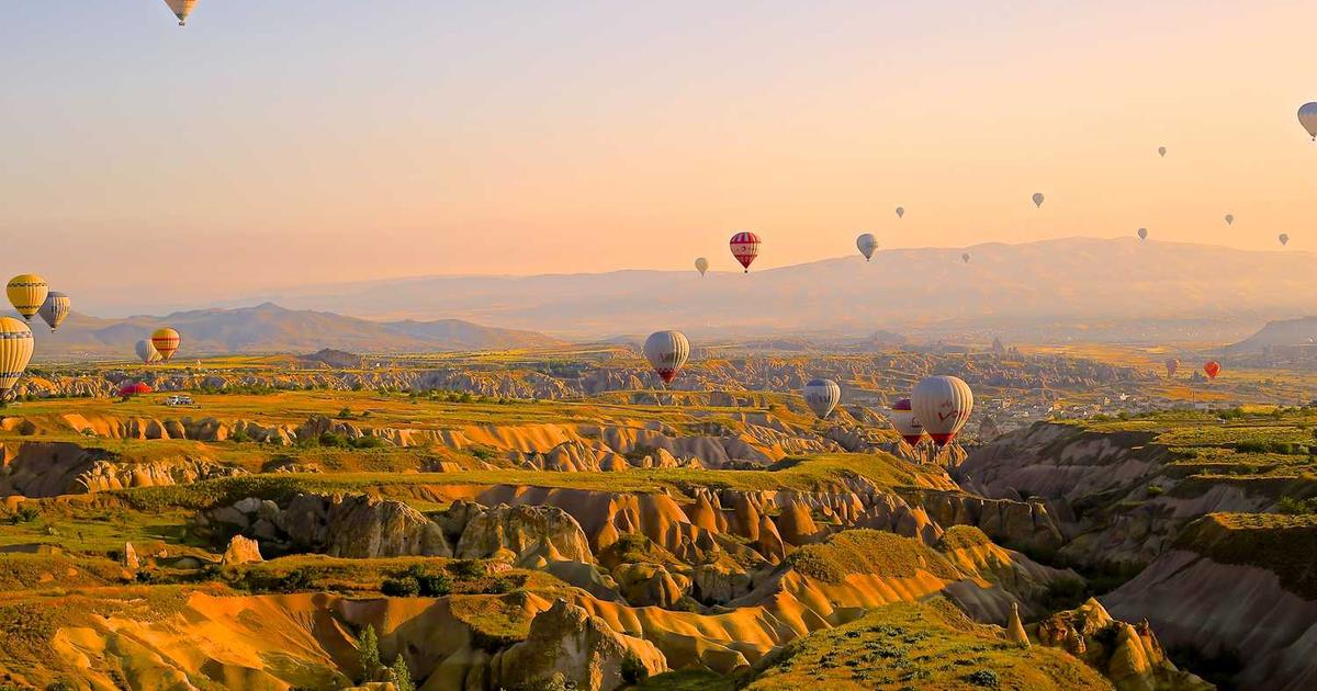 What is Algofi? - Company Overview & Details