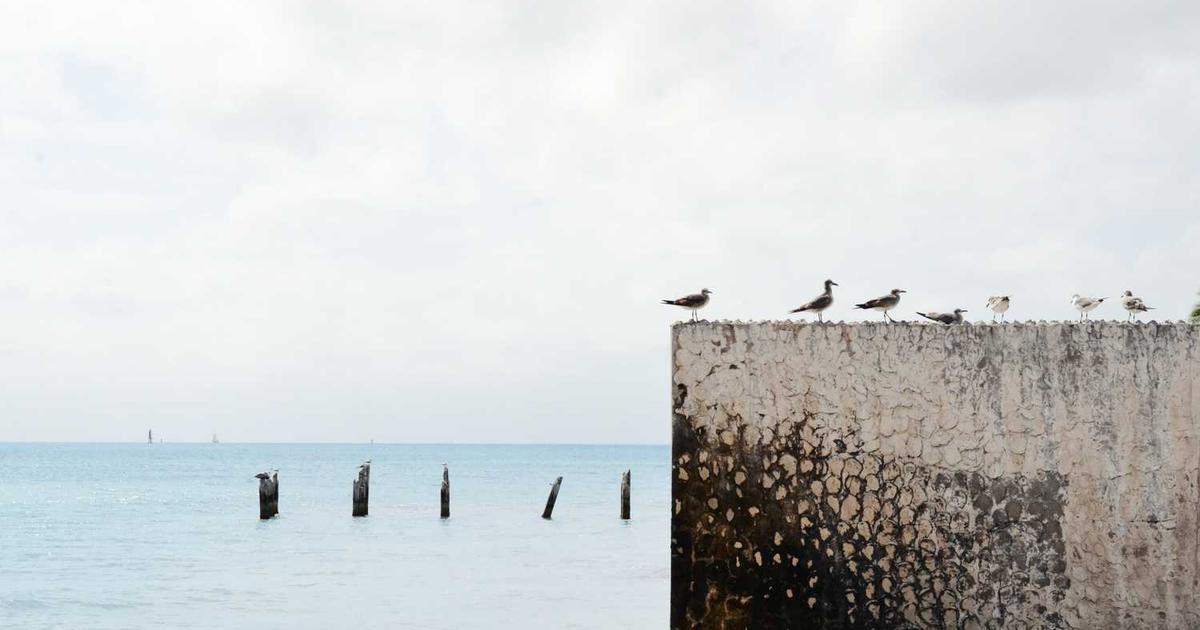 What is Ally Financial Inc.? - Company Overview & Details