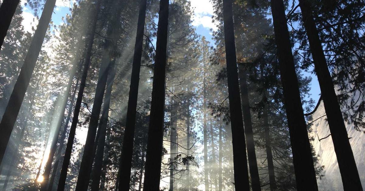 What is Arist? - Company Overview & Details