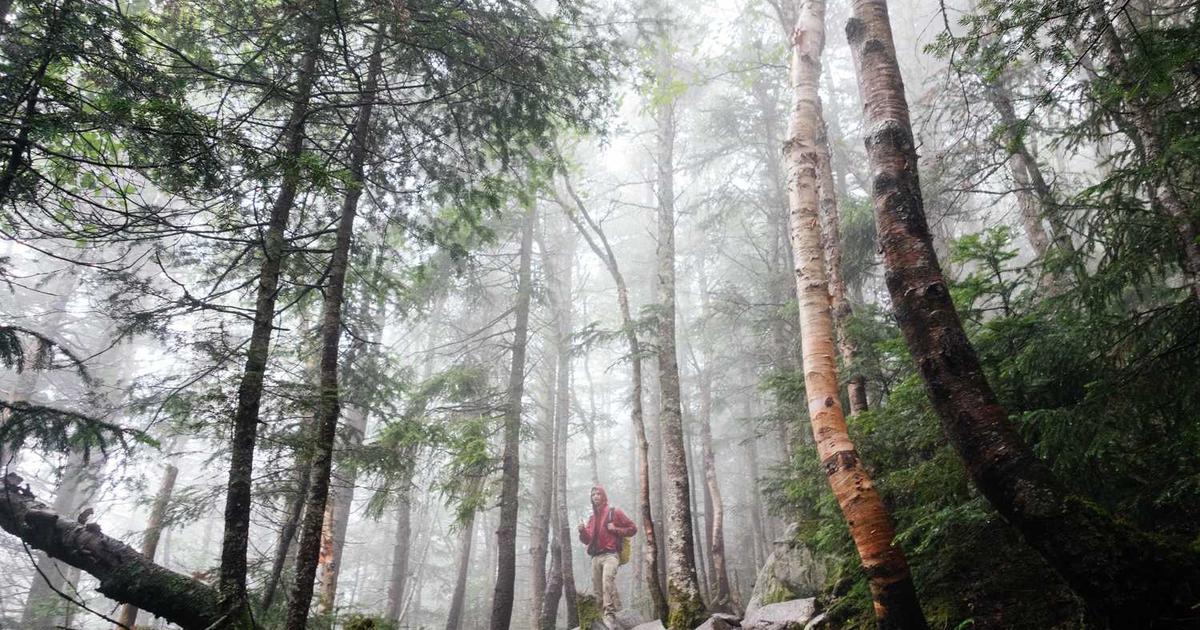 What is Ashby? - Company Overview & Details