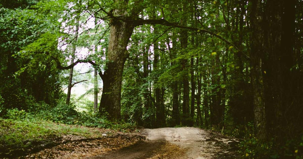 What is Aura Vision? - Company Overview & Details