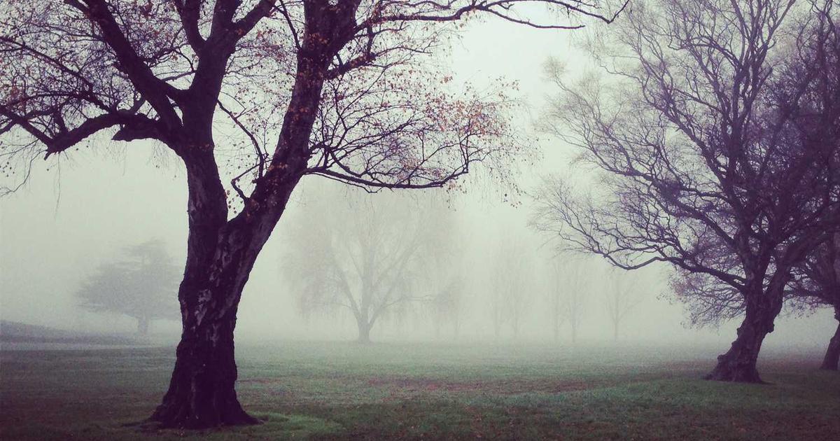 What is Axle Health? - Company Overview & Details