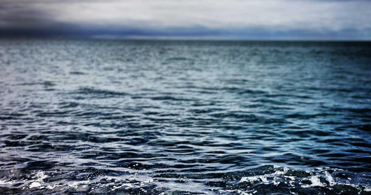 What is Bannerman Security? - Company Overview & Details