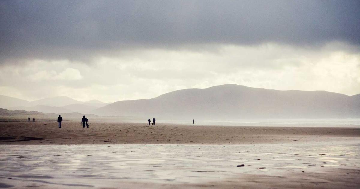 What is Bayes Recruitment? - Company Overview & Details