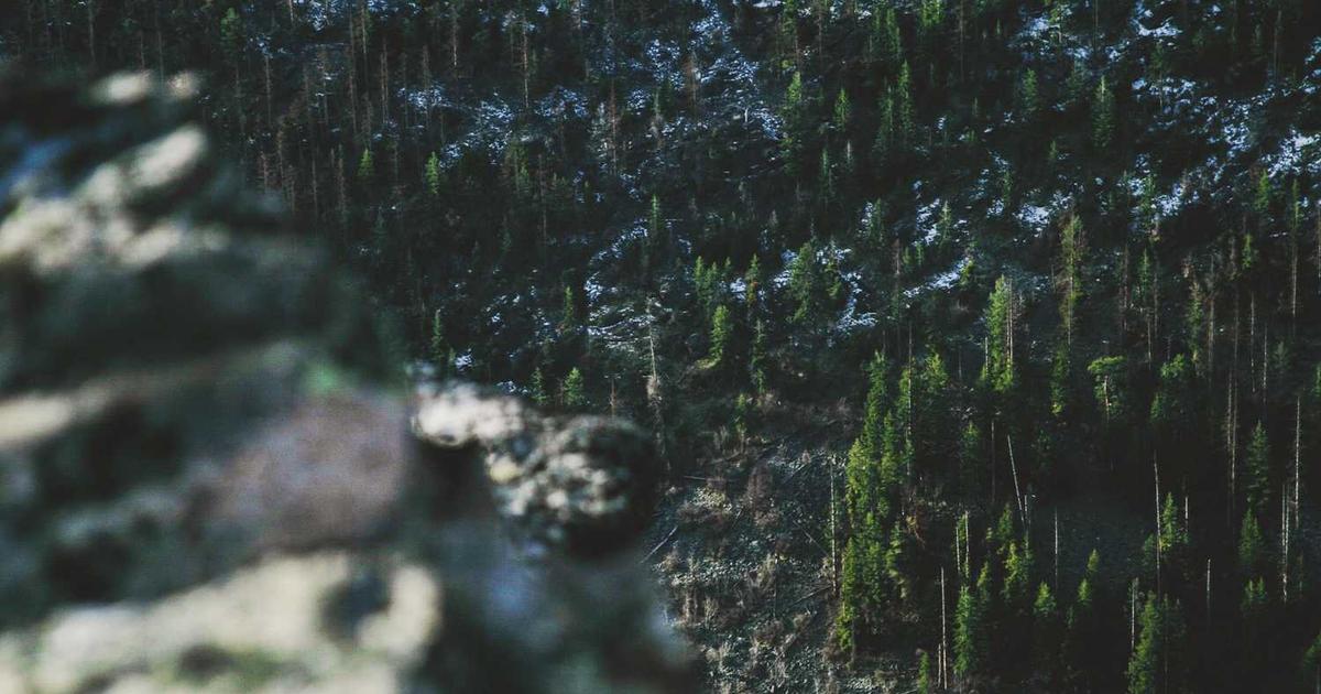 What is BeGo Education? Company Overview & Key Insights