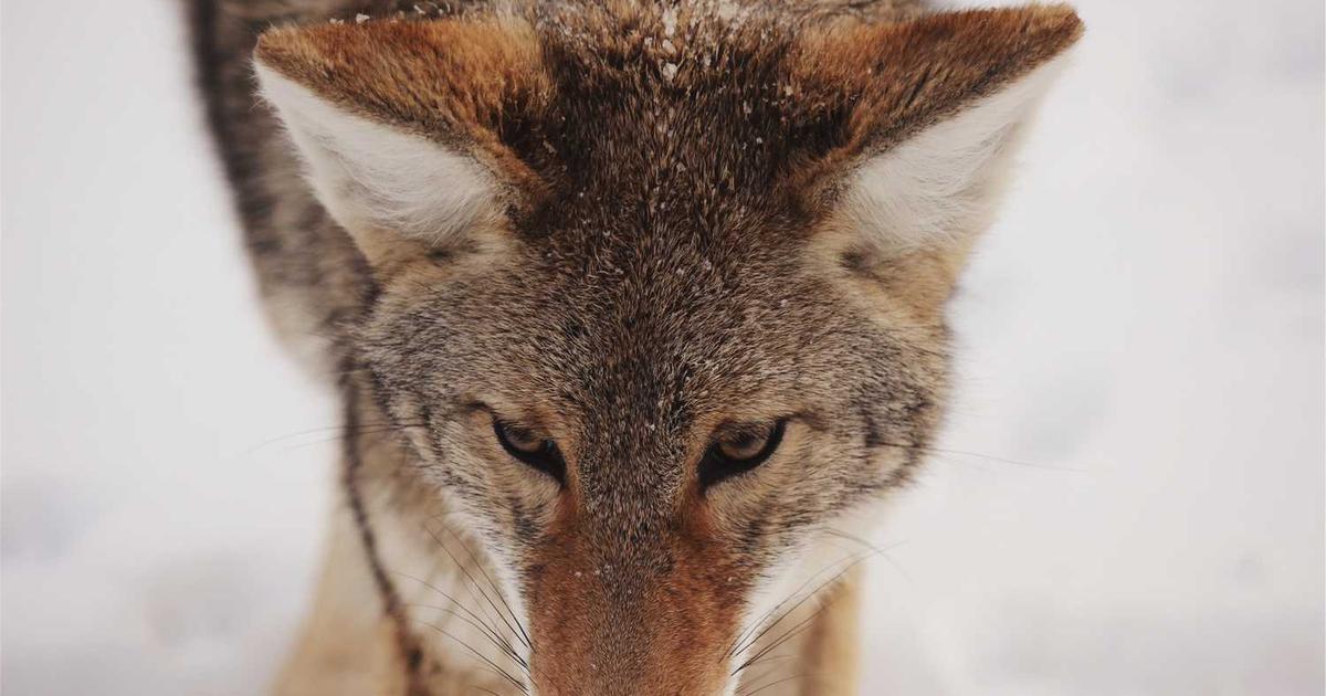 What is BeWell Digital? - Company Overview & Details