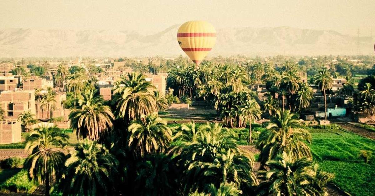 What is Biodock? - Company Overview & Details