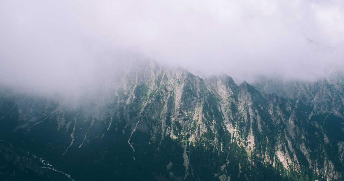 What is Bloom? - Company Overview & Details