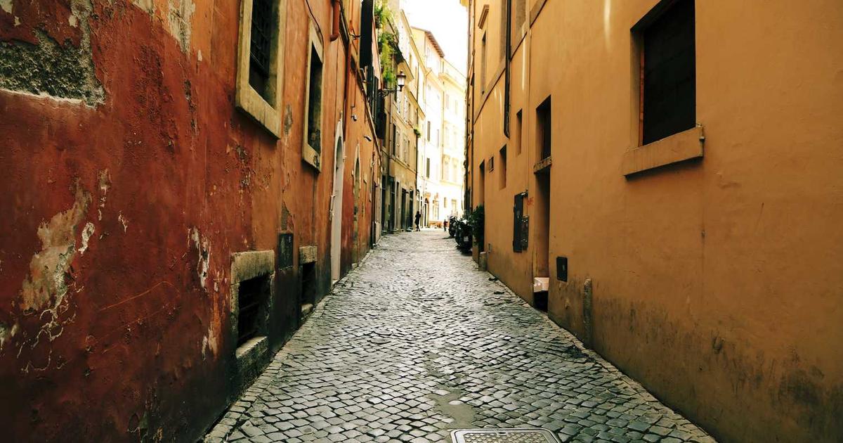 What is Bonsai? - Company Overview & Details