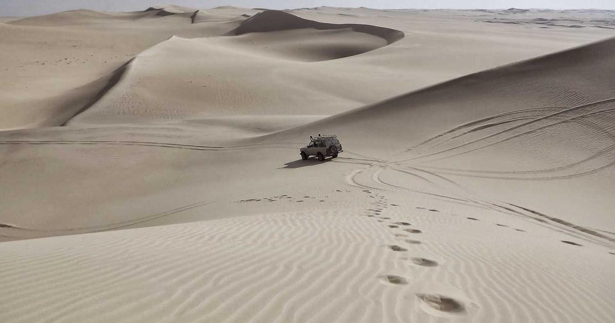 What is Bonsai? - Company Overview & Details