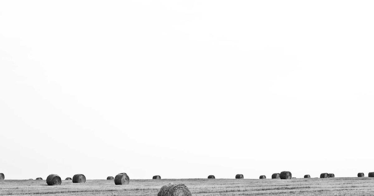 What is Bulldozair? - Company Overview & Details