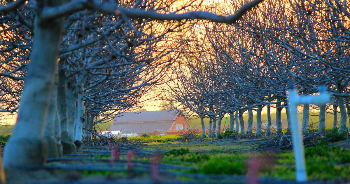 What is Cashbook Limited? - Company Overview & Details