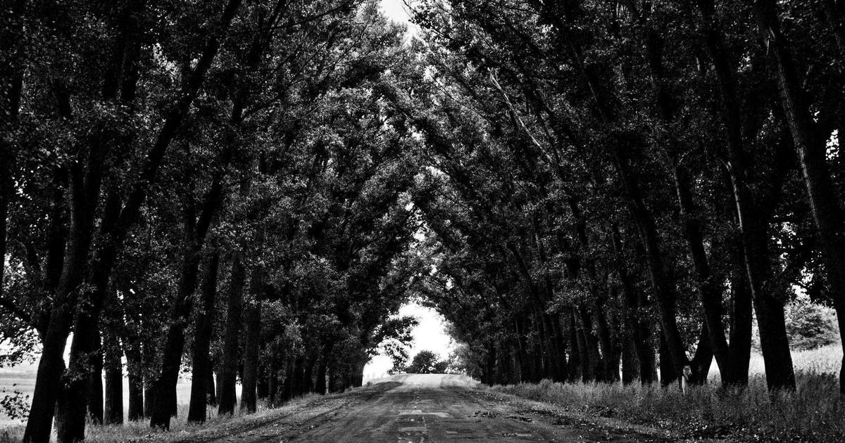 What is Clover? - Company Overview & Details