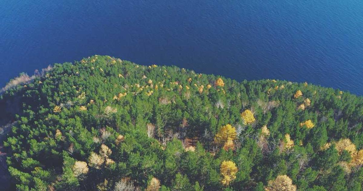 What is Coub.com? - Company Overview & Details