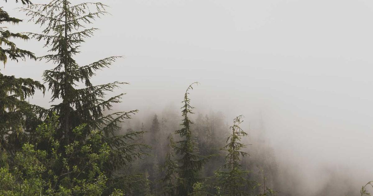 What is Curvenote? - Company Overview & Details