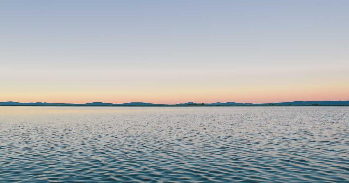 What is Dashblock? - Company Overview & Details