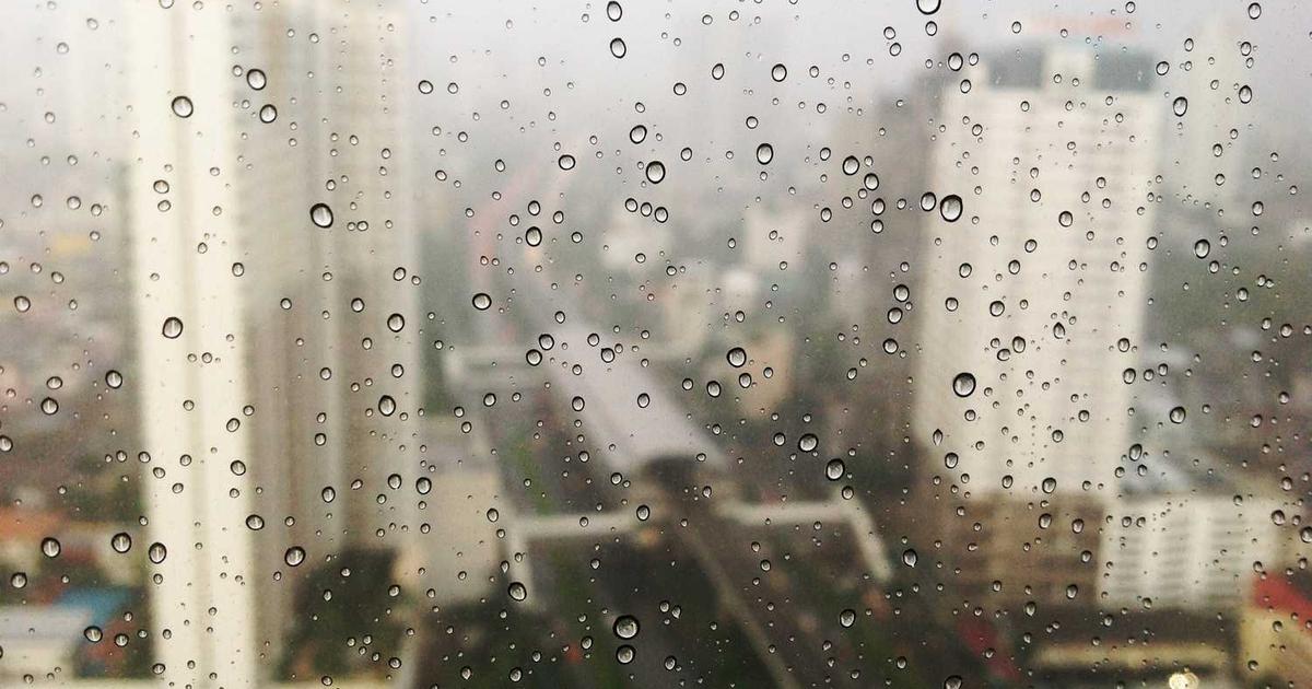 What is Dialect? - Company Overview & Details