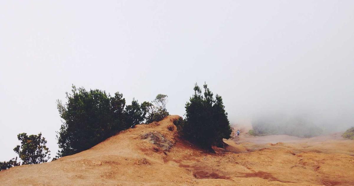 What is Edge? - Company Overview & Details