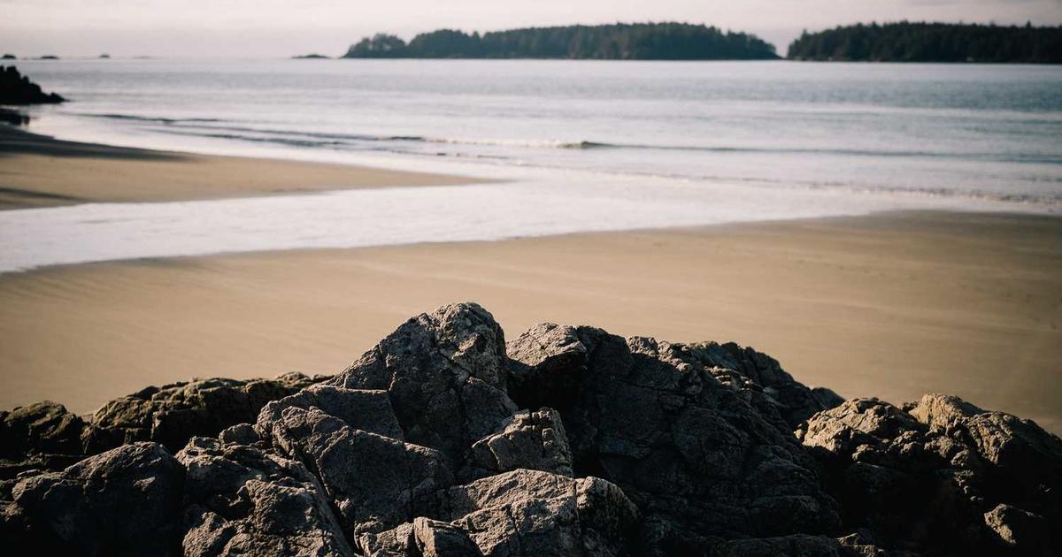 What is Entelexo Biotherapeutics? - Company Overview & Details