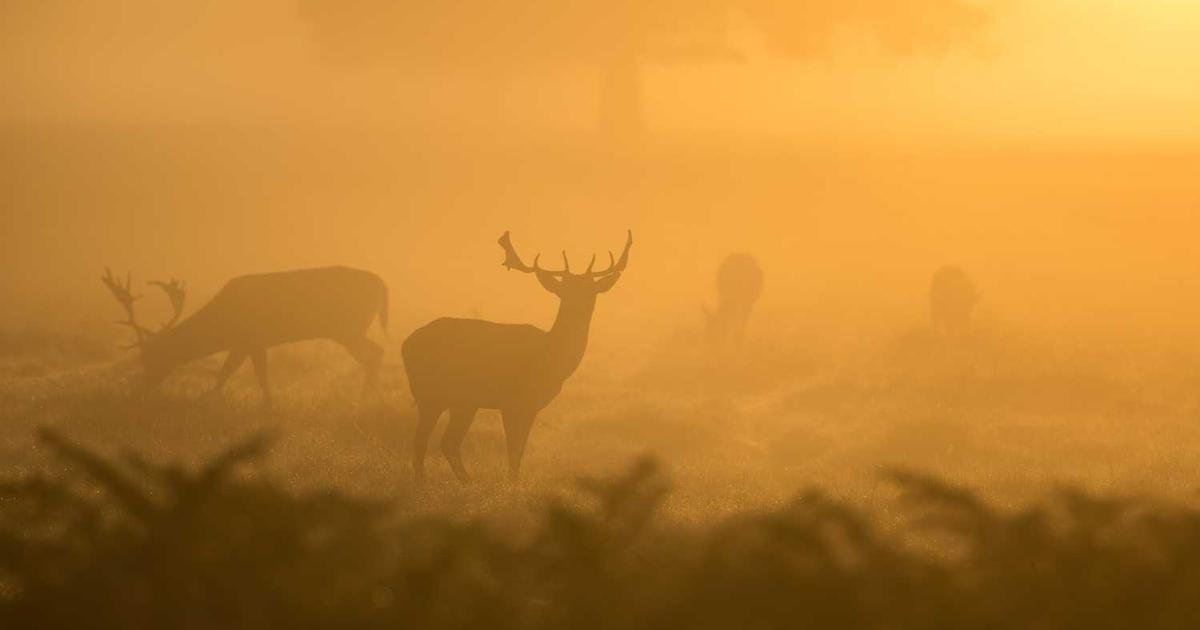 What is Equator Therapeutics? - Company Overview & Details