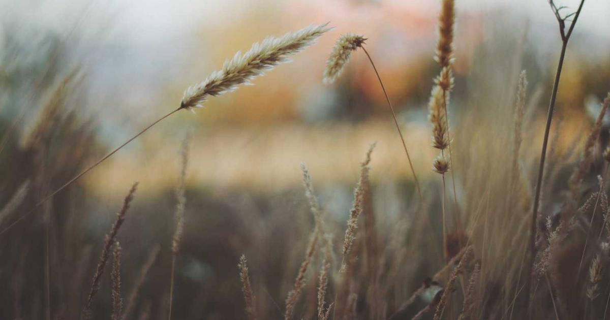 What is Fabric? Company Overview & Key Details