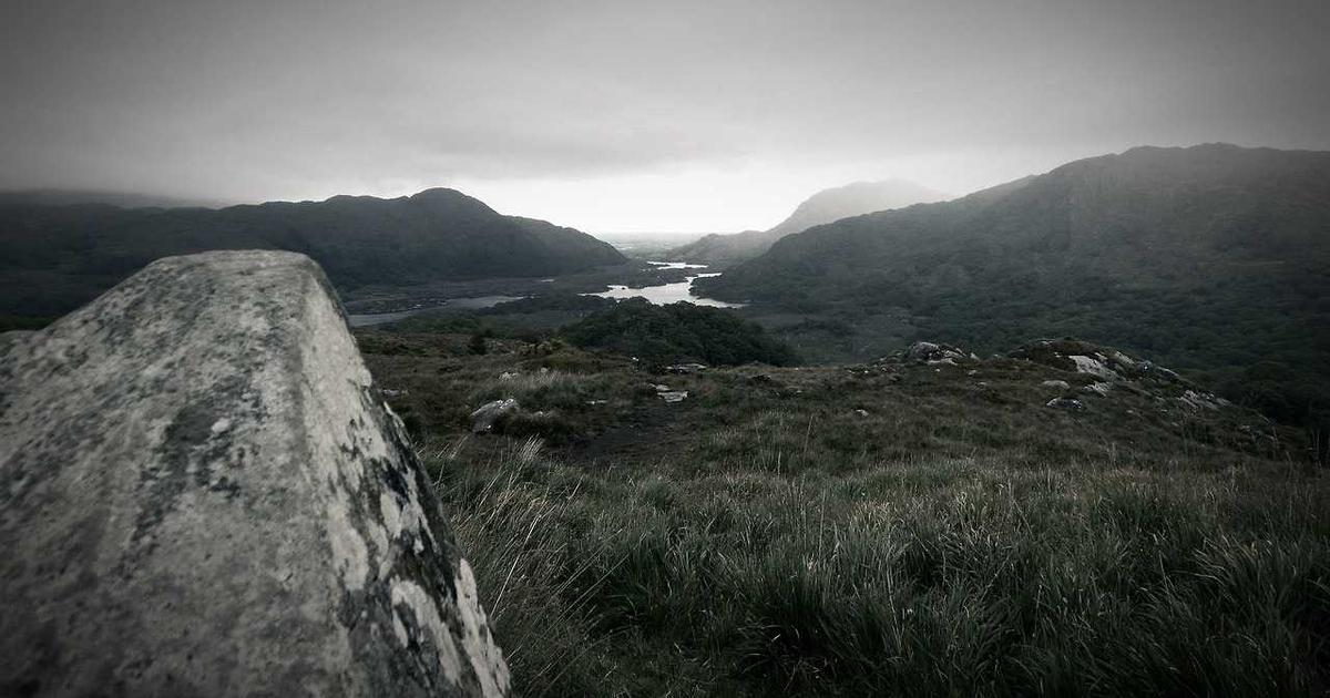 What Is Farmstead? Company Overview & Details