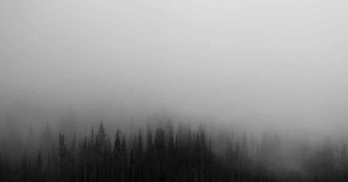 What is FightCamp? Company Overview & Details