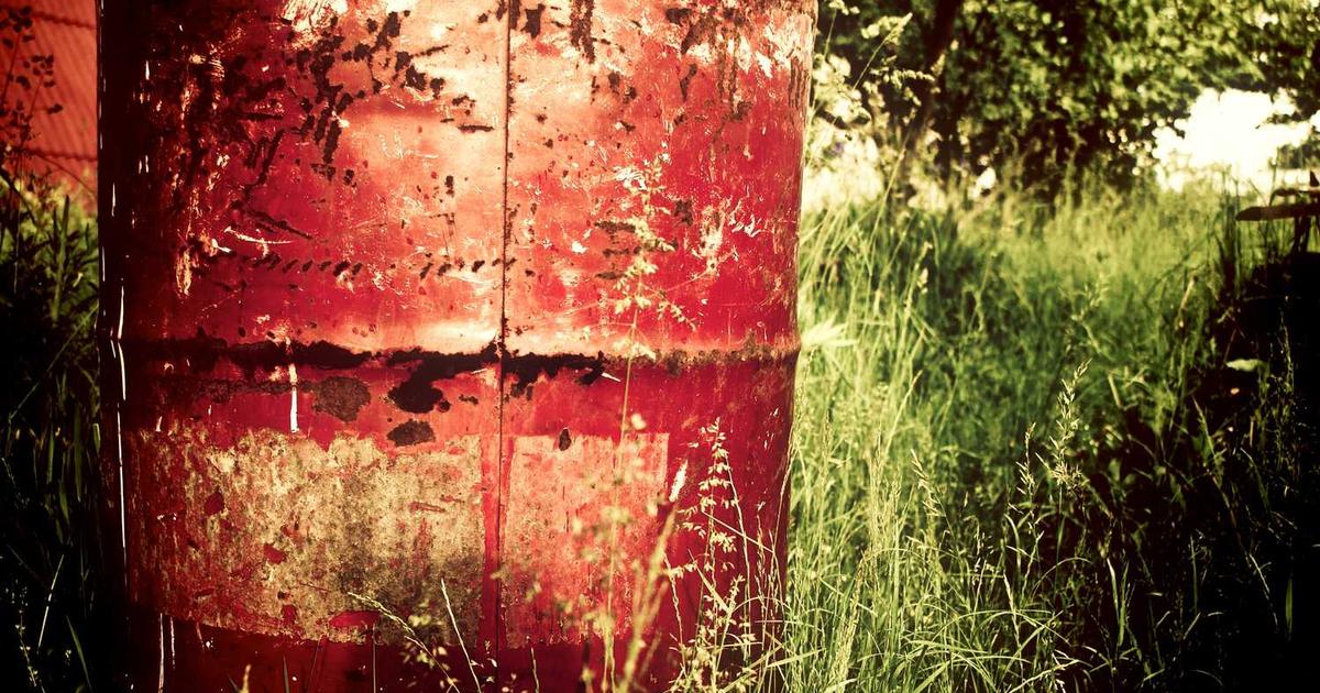 What is Fit to Form? - Company Overview & Details