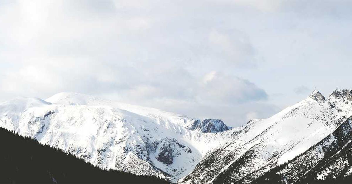 What is Float Health? - Company Overview & Details