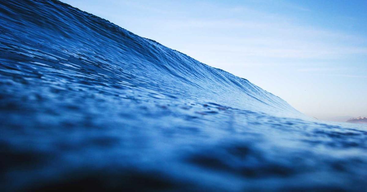 What is Fynt Communicatie? - Company Overview & Details