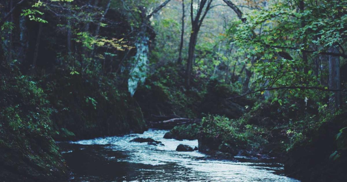 What is GoJom? - Company Overview & Details