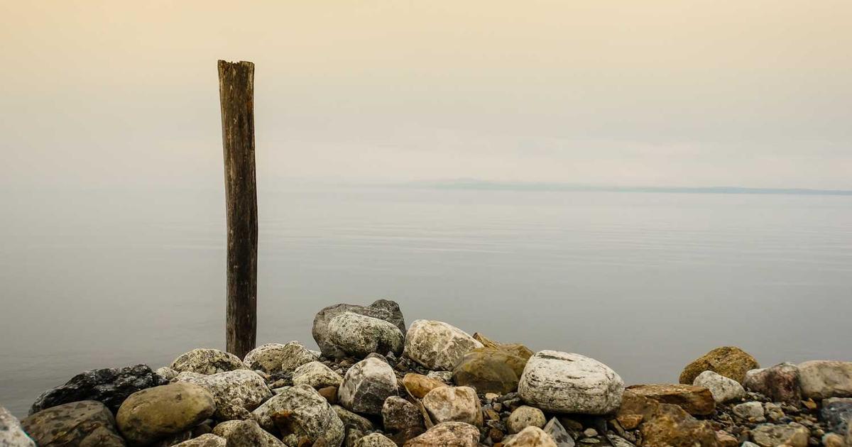 What is GTRACK Technologies? - Company Overview & Details