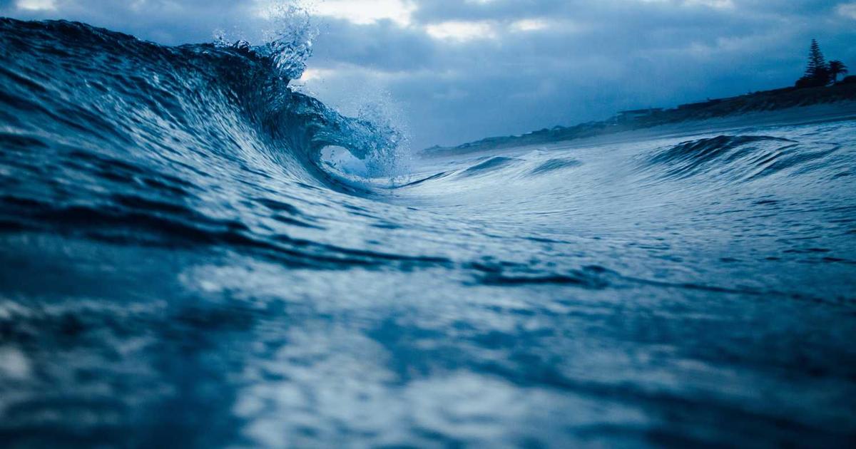 What is H1? - Company Overview & Details