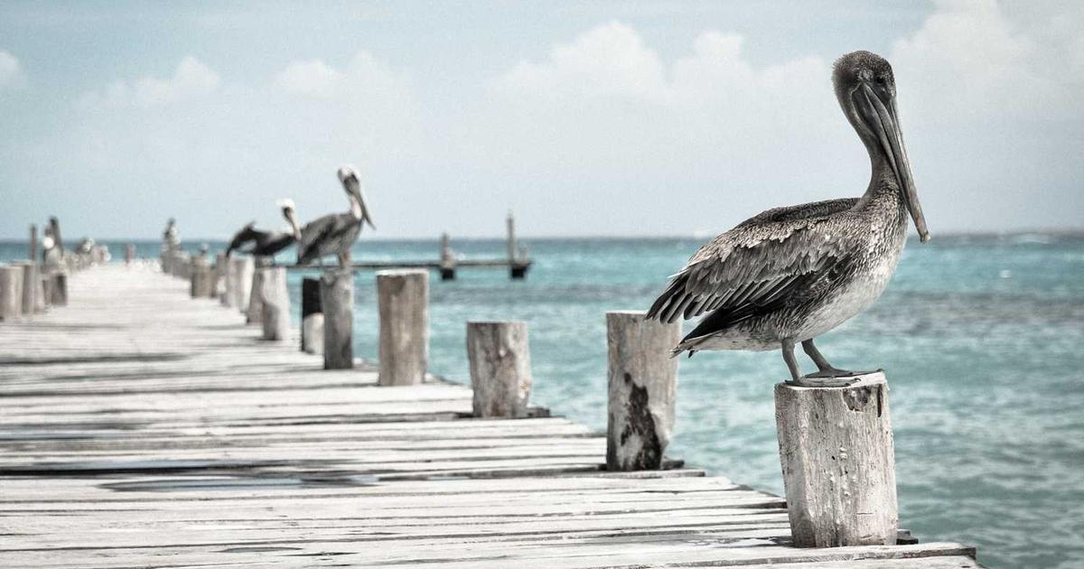 What is Homebase? - Company Overview & Details