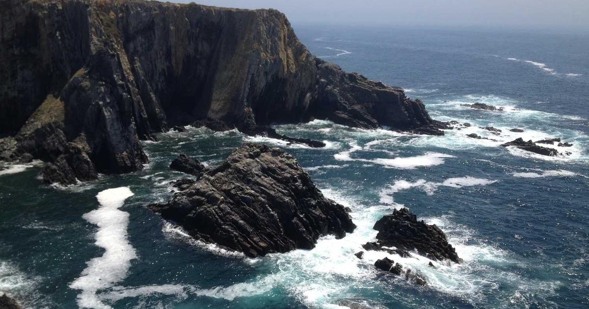 What is Hutsy? - Company Overview & Details