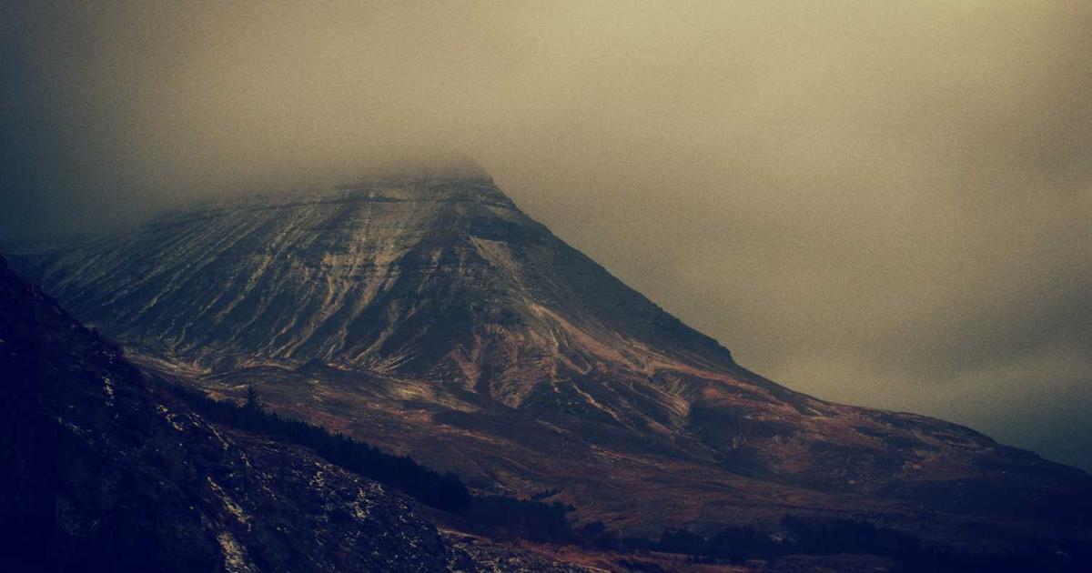 What is Immunity Project? - Company Overview & Details