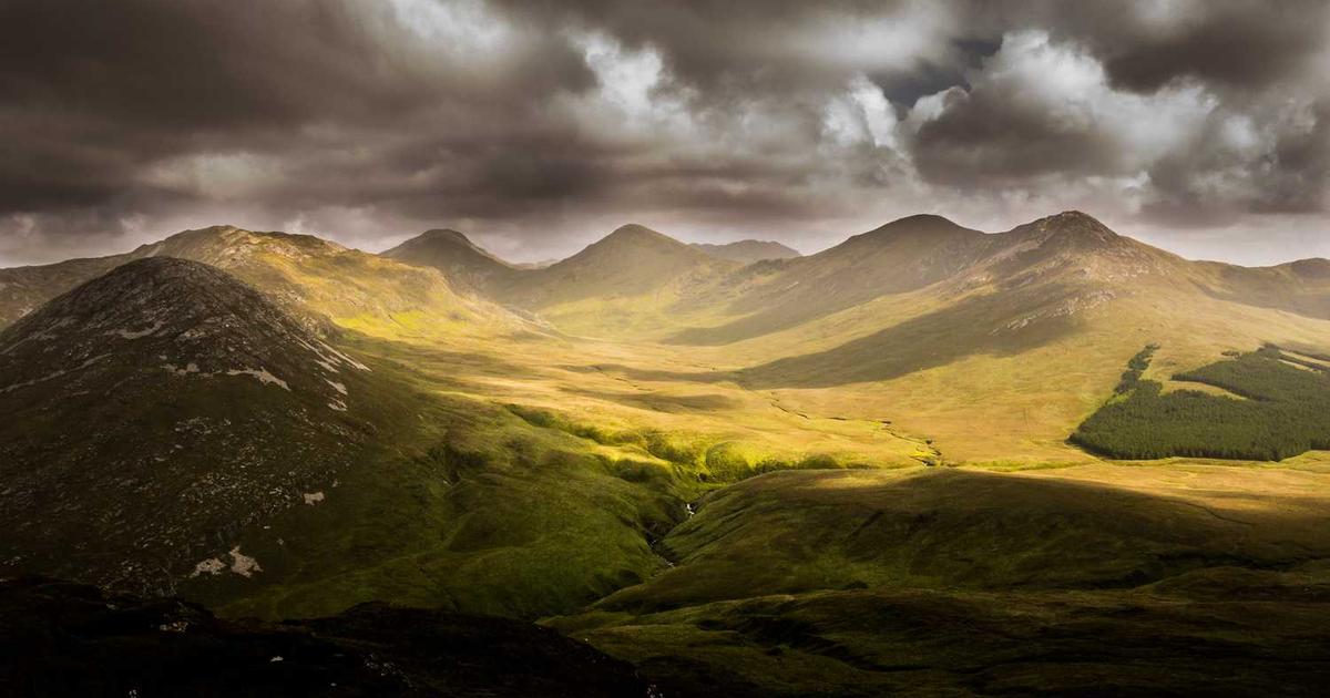 What is In Stock? - Company Overview & Details