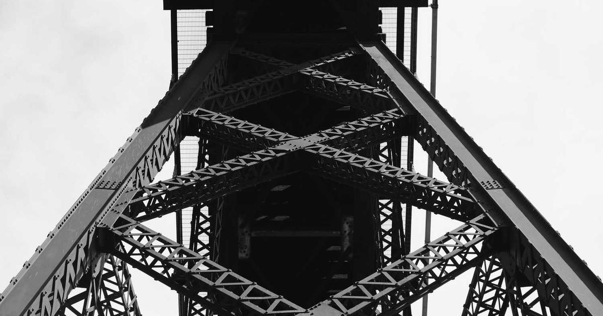 What is Infobot? - Company Overview & Details