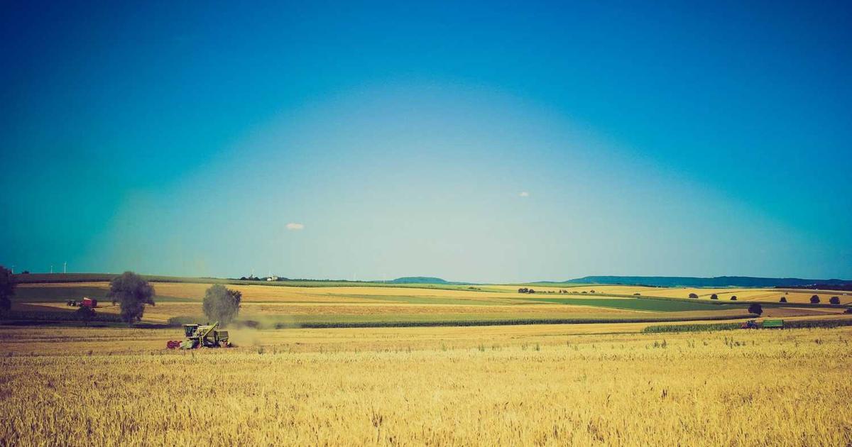 What is ITS Hendrion? - Company Overview & Details