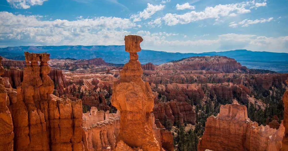 What is Javelin Robotics? - Company Overview & Details