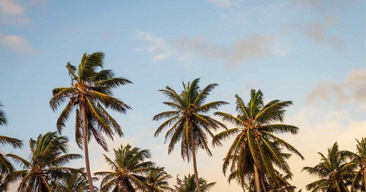 What is kapa.ai? - Company Overview & Details