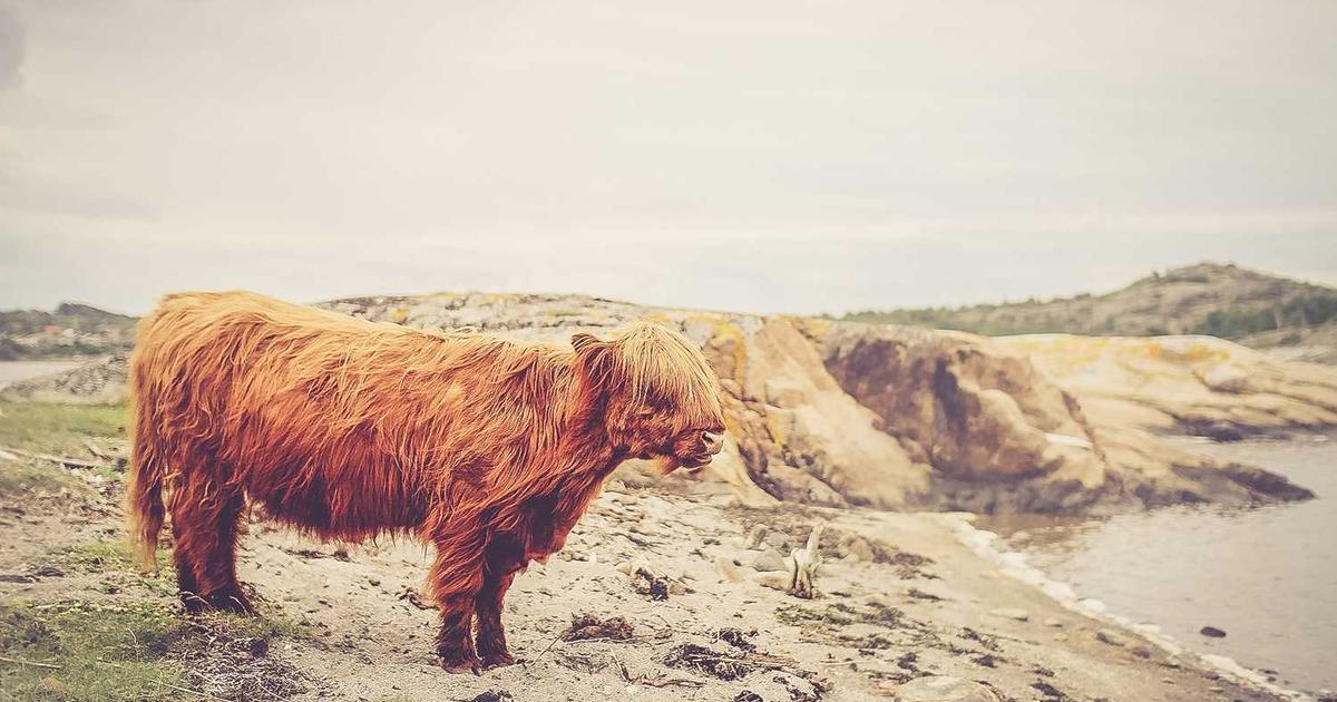 What is KeyDB? - Company Overview & Details