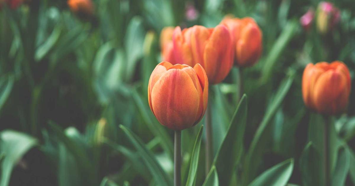 What is Kilobaser? - Company Overview & Details