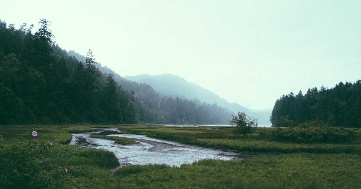 What is KorrAI? - Company Overview & Details