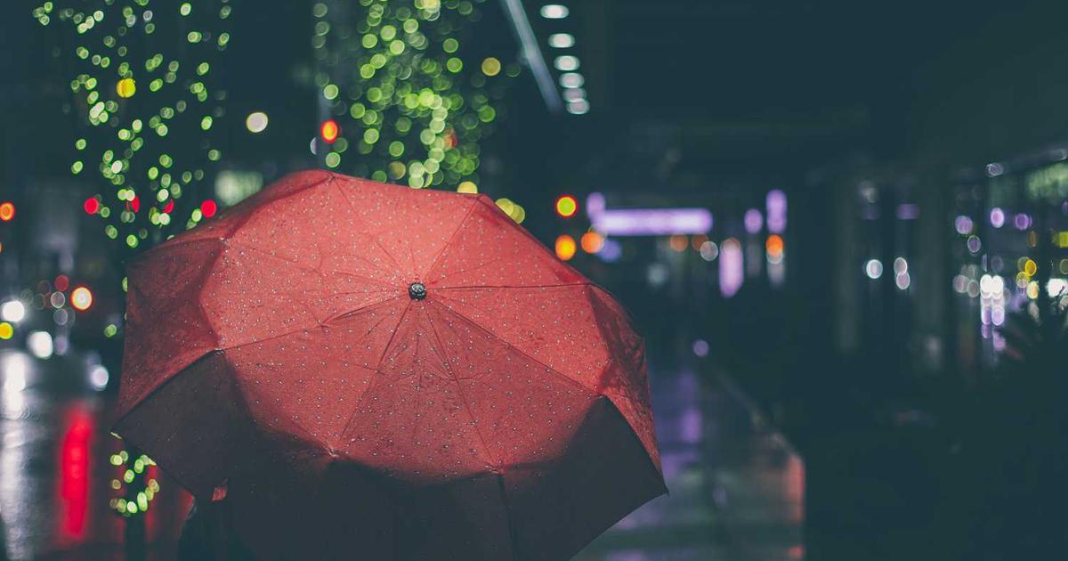 What is Laylo? - Company Overview & Details