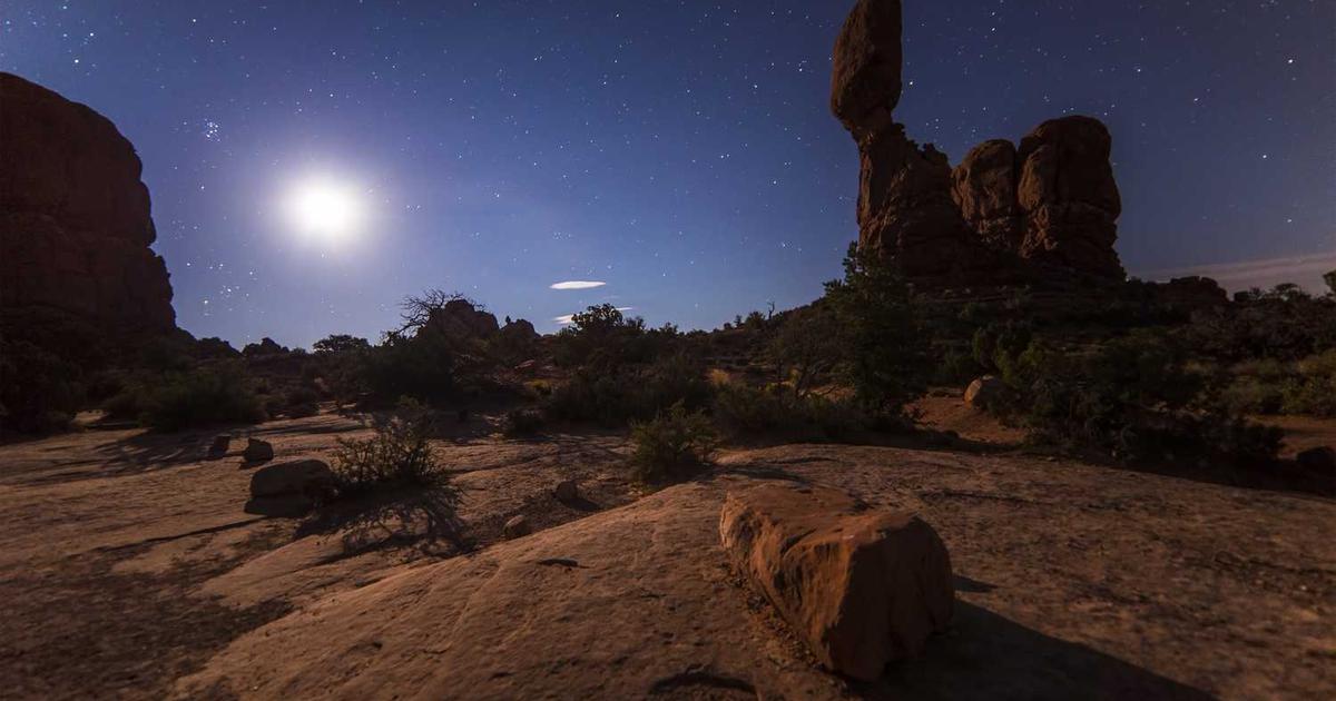 What is Leafpress? - Company Overview & Details