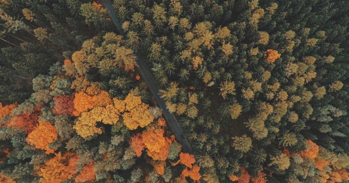 What is Lendflow? - Company Overview & Details