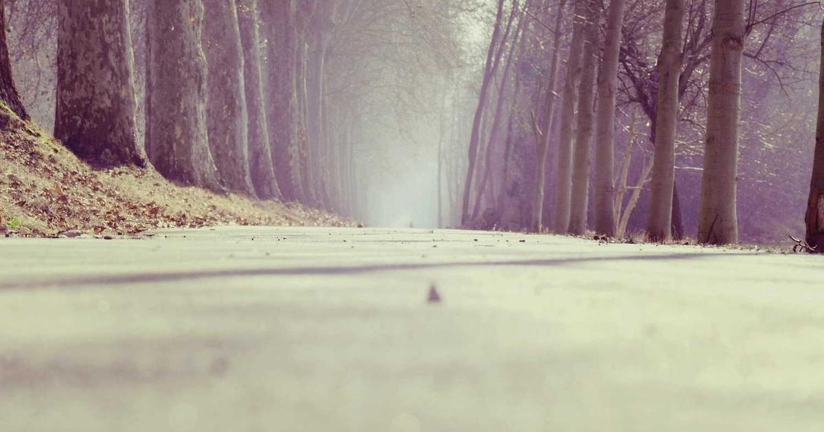 What is Lightwell? - Company Overview & Details